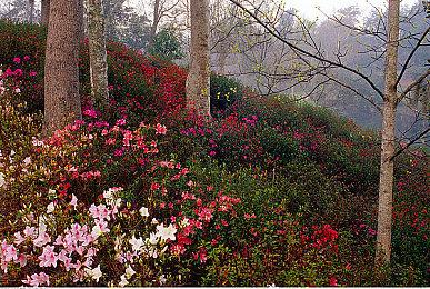 《英雄传说 闪轨1·2：改》NS版官网开放 7.8日起陆续发售